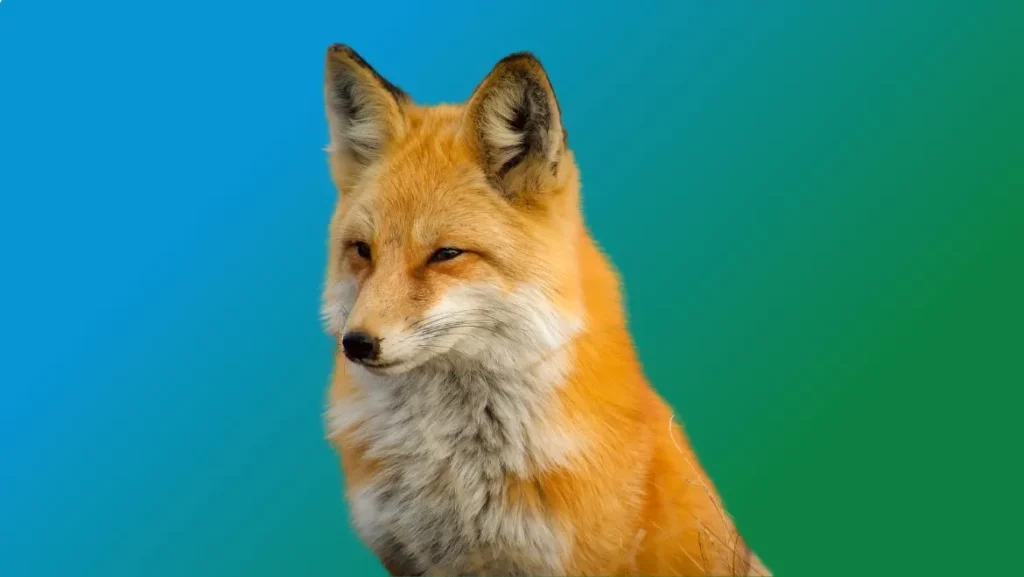 Red-Fox-Totem-Animal