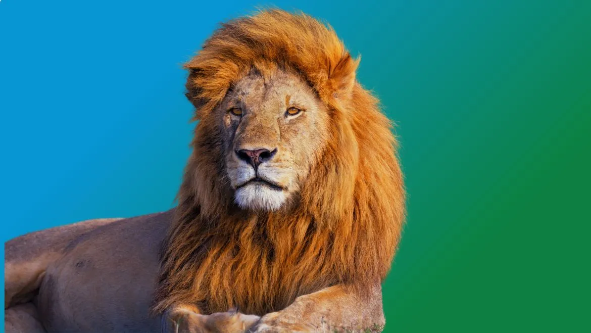 Spirit Animal Lion: Symbolism & Meaning