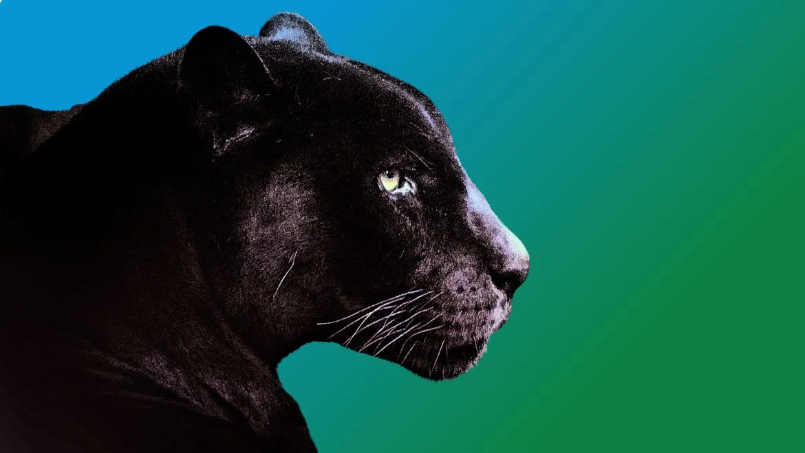 Spirit-Animal-Black-Jaguar