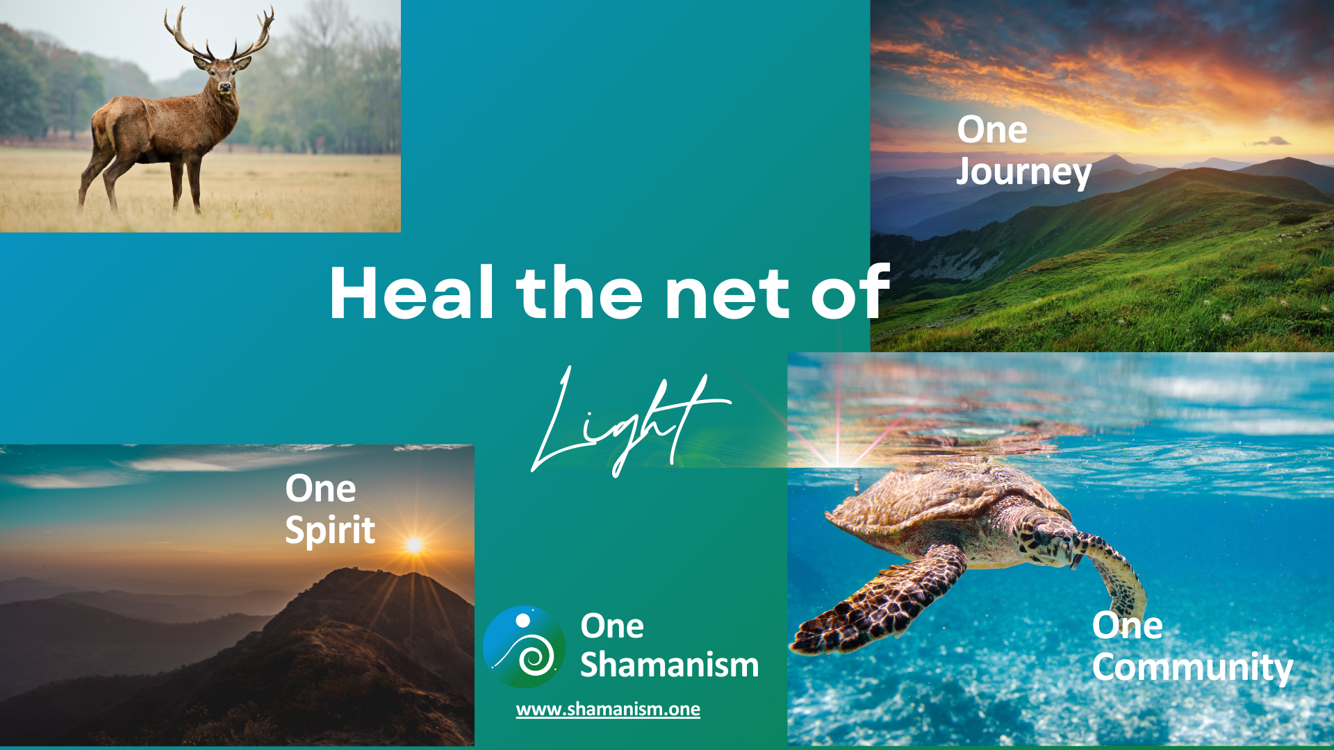 Event Heal the net of light