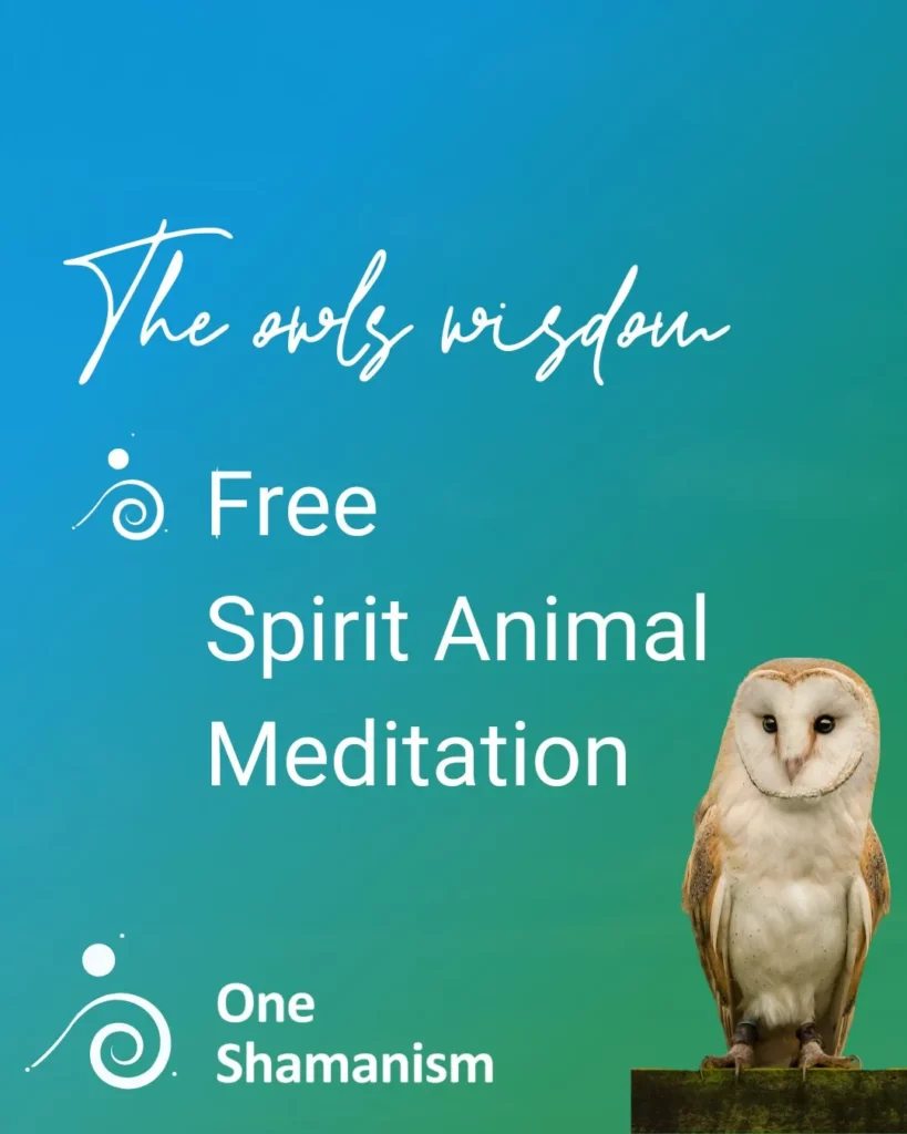 The owls wisdom free meditation